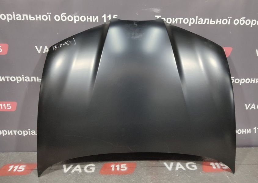 FP6202280 Капот