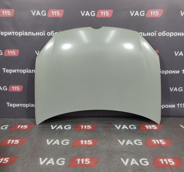 PVW20043A Капот