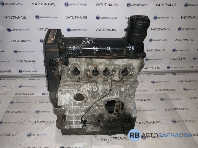 06A100032J Двигун 1.6 8v 101 к.с. - AKL