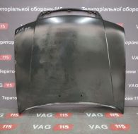 Капот (дефект) СПЕЦЦІНА